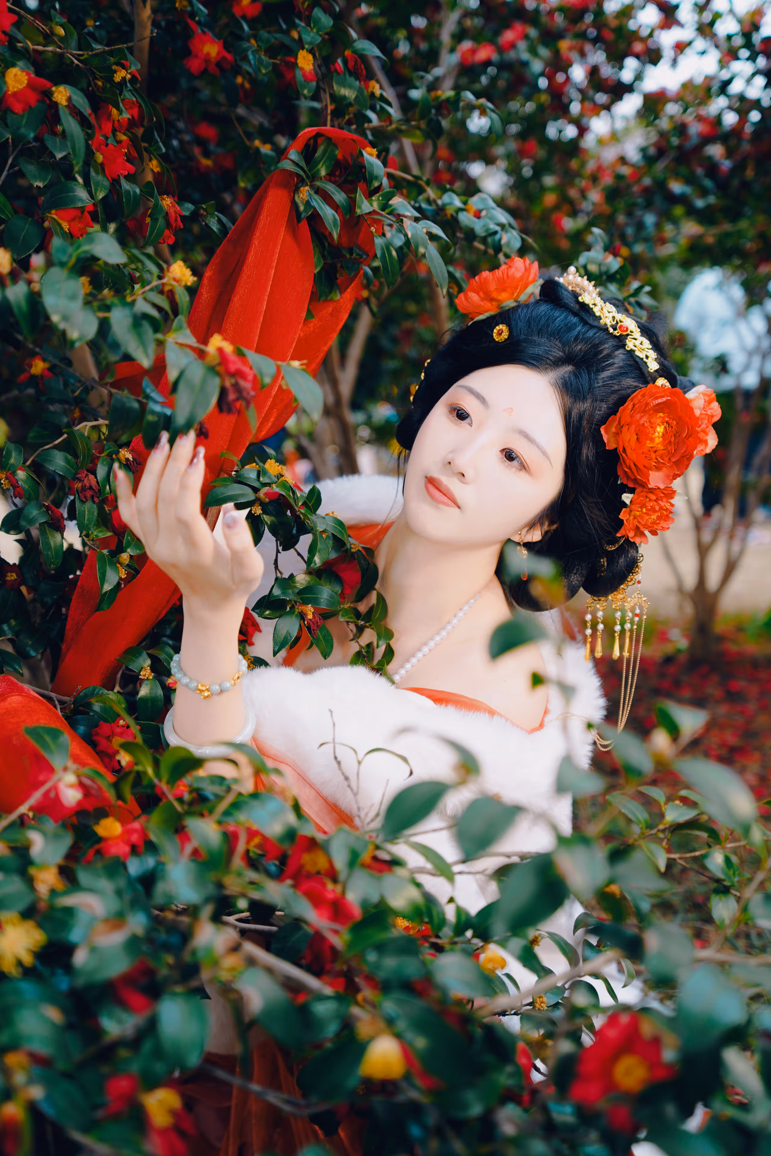 大宁公园山茶花汉服，上海，2024年，中国国风摄影作品