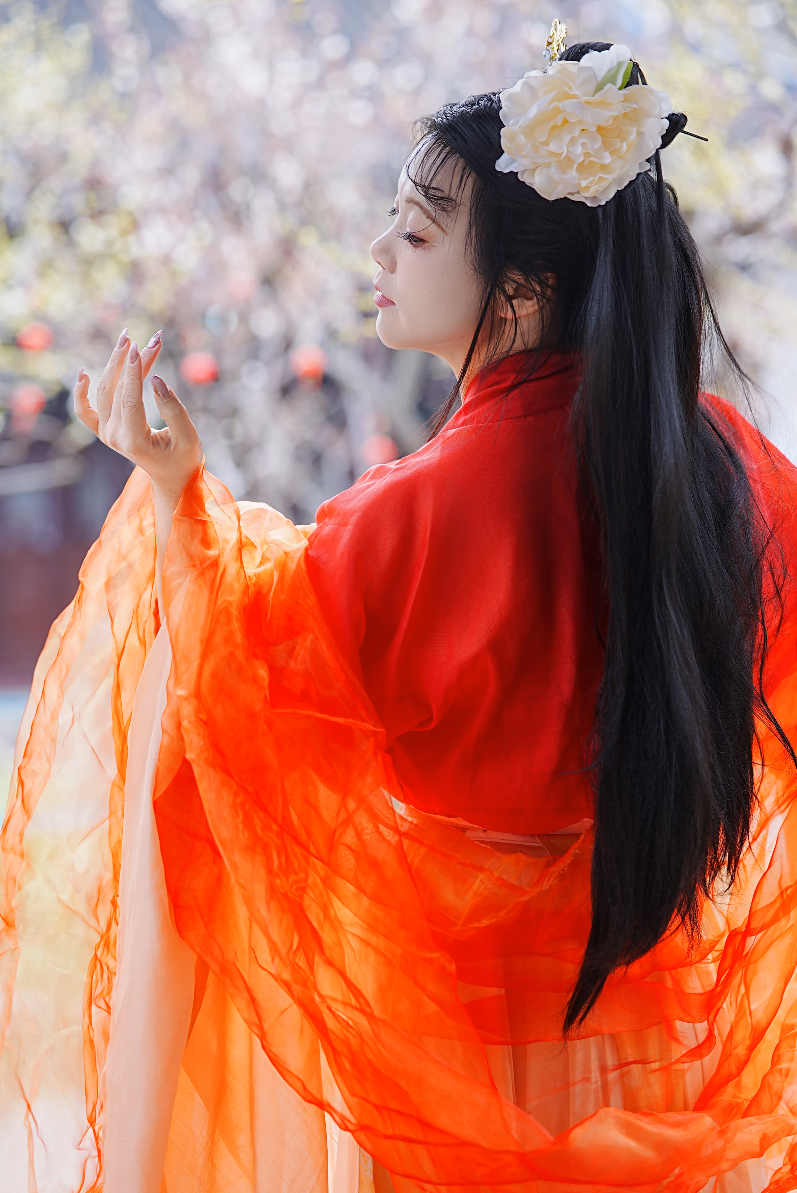 古猗园佳儿汉服,上海,2025年,中国国风摄影作品