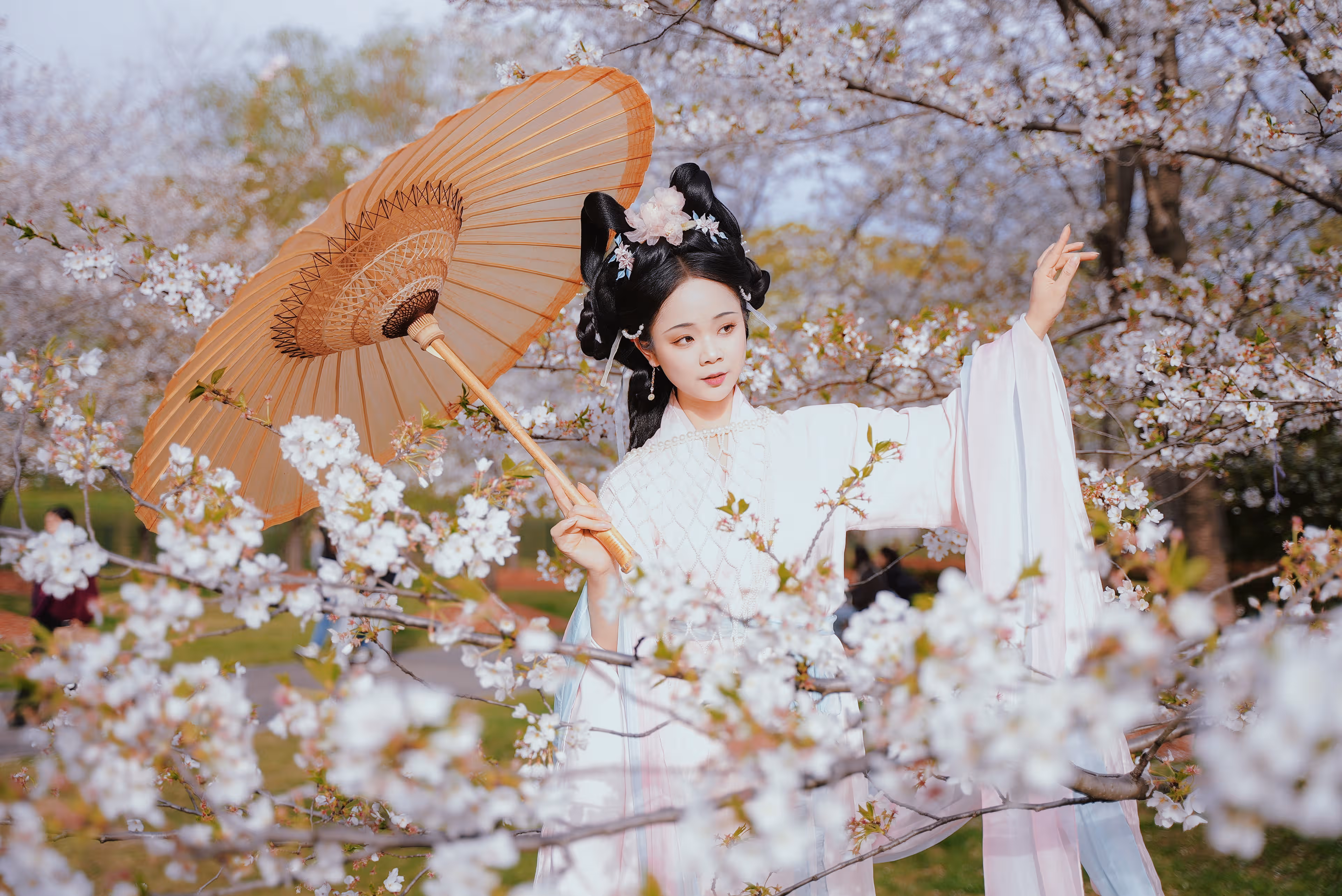 顾村公园樱花汉服，上海，2025年，中国国风摄影作品