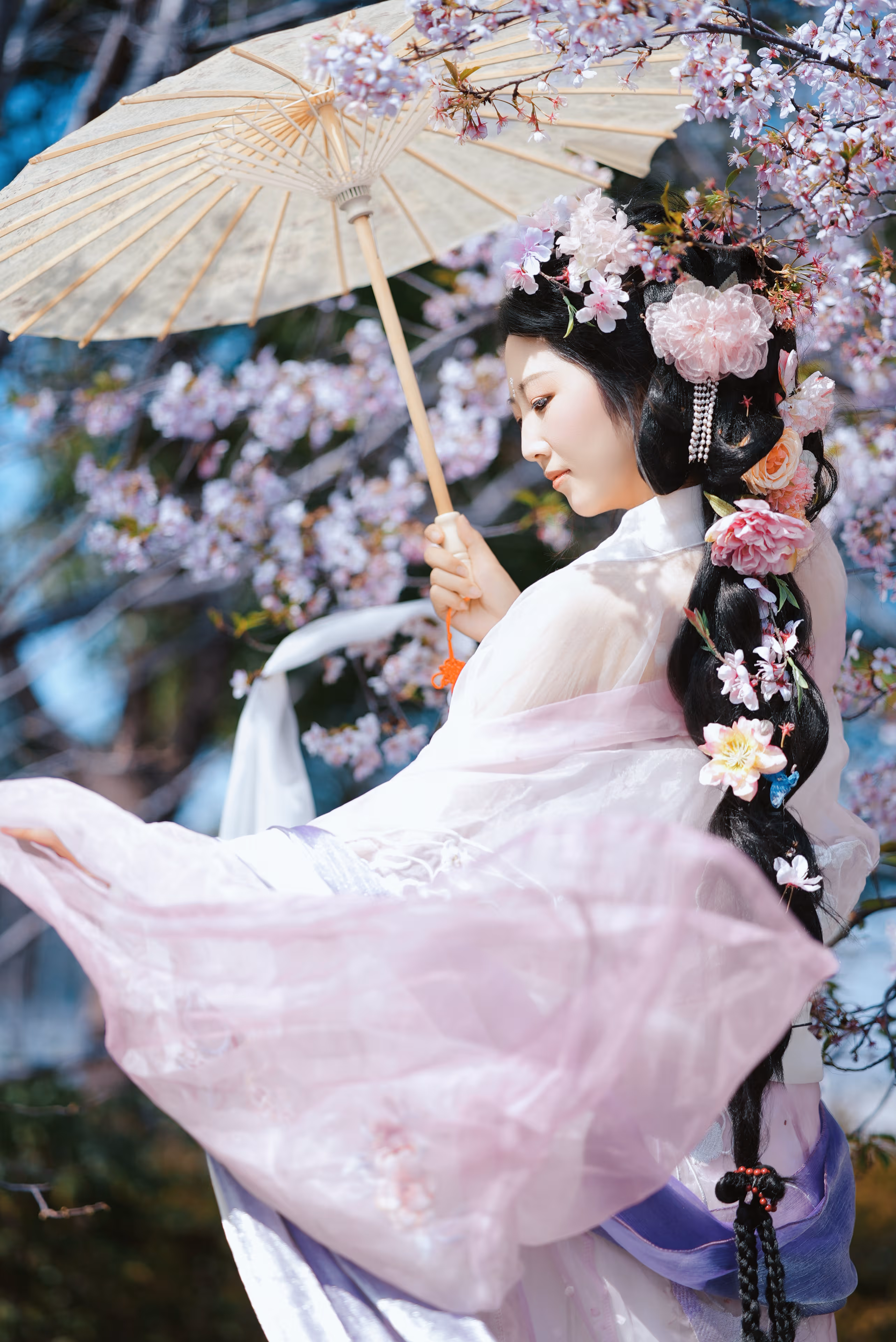 顾村公园樱花汉服冰冰，上海，2025年，中国国风摄影作品
