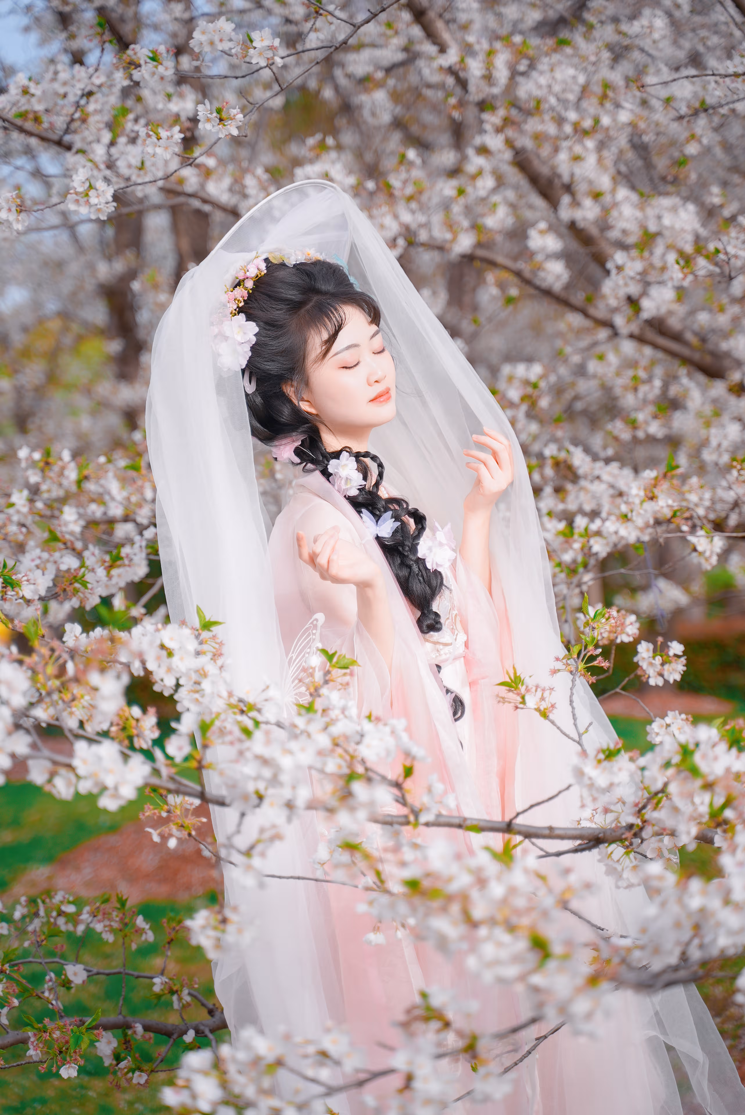 顾村公园樱花汉服橘子,上海,2025年,中国国风摄影作品