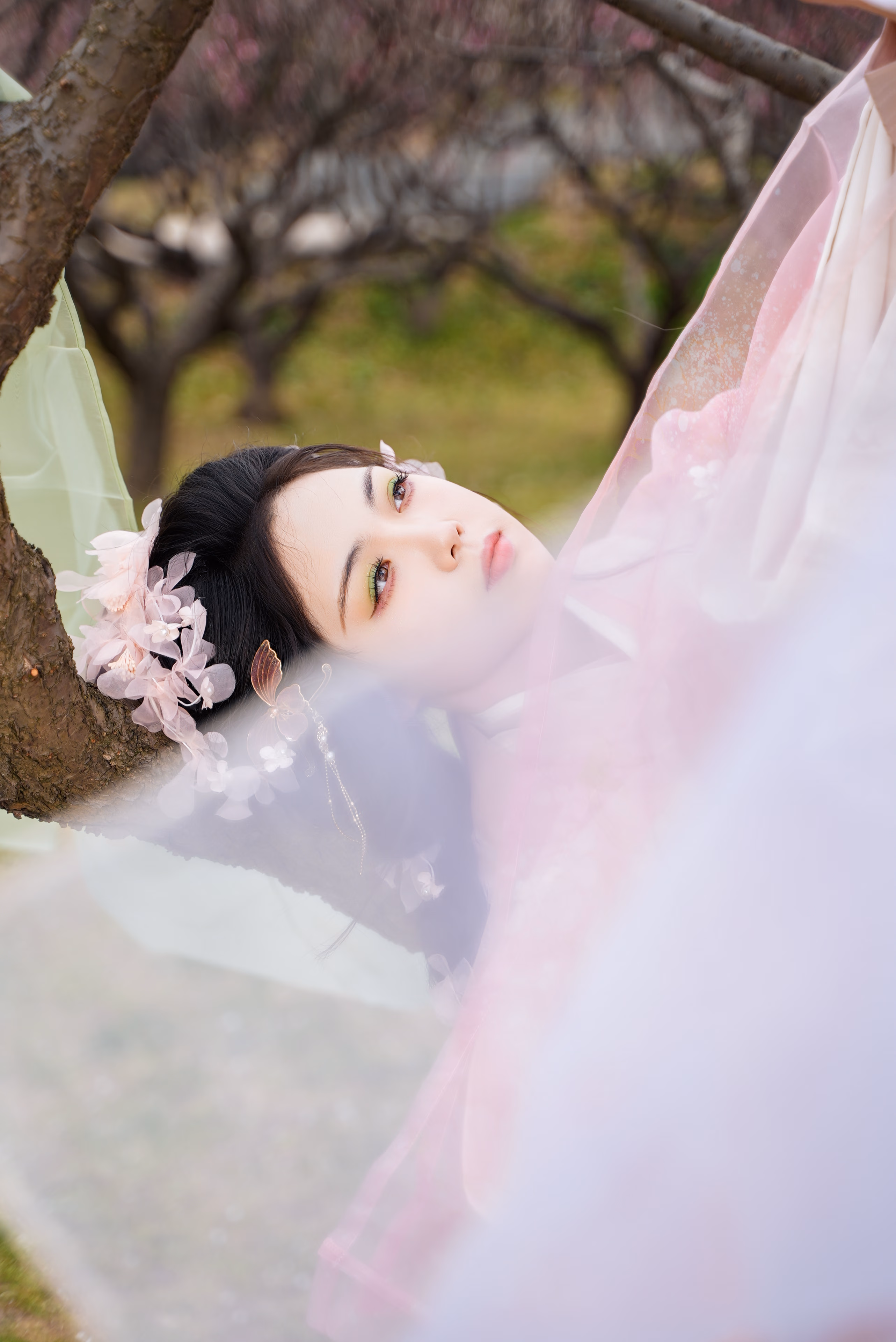 上方山梅花汉服,上海,2025年,中国国风摄影作品