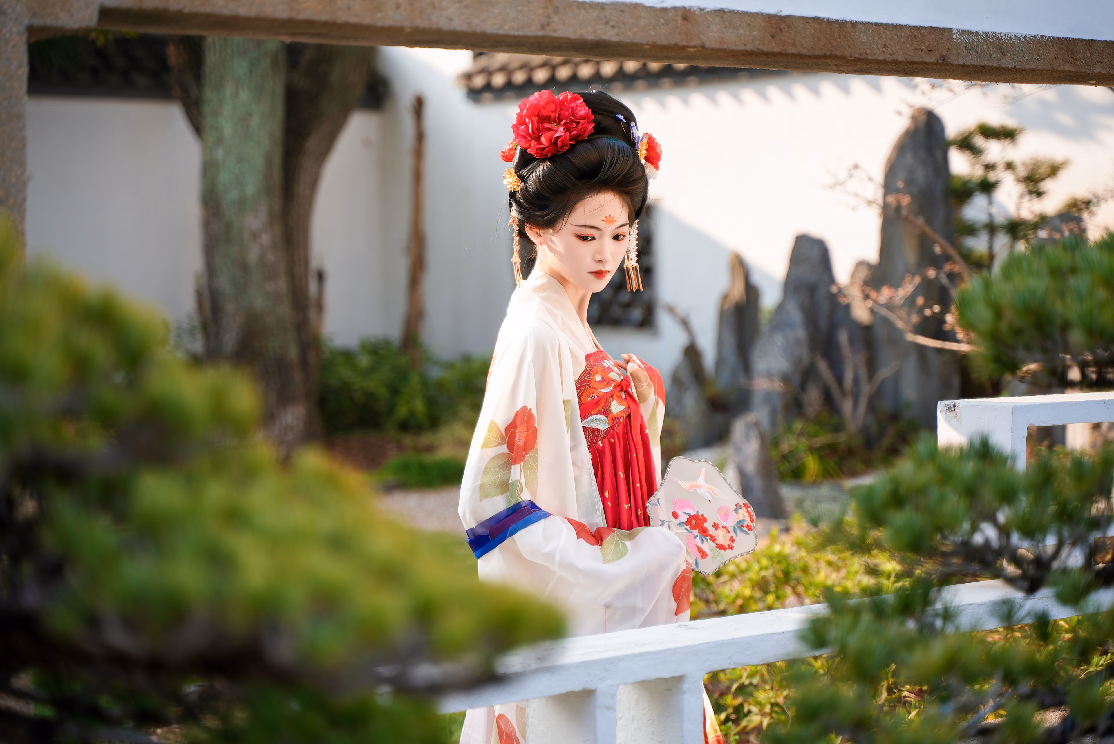 植物园山茶花汉服，上海，2025年，中国国风摄影作品