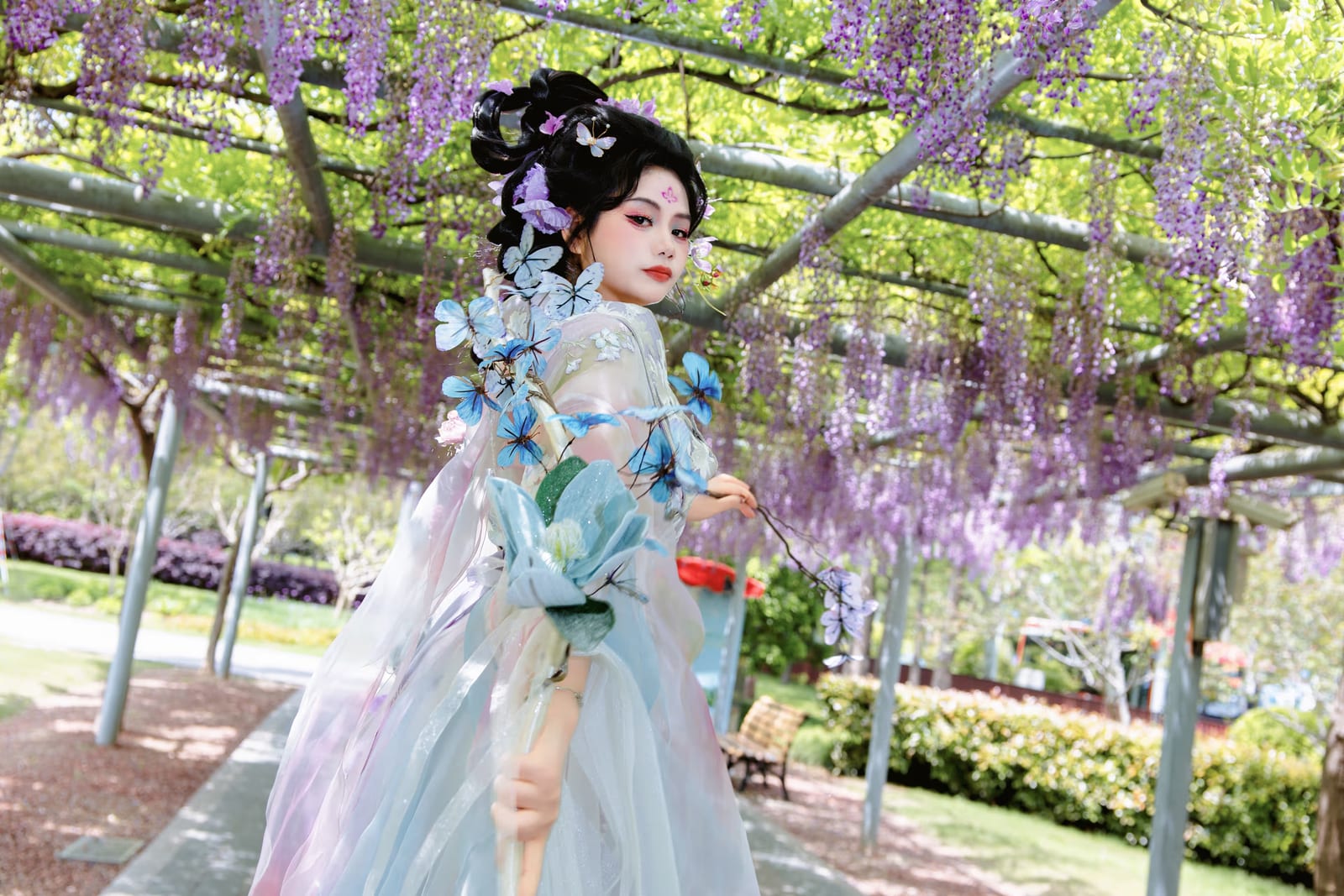 嘉定紫藤桂林汉服，上海嘉定，2026年，中国国风摄影作品