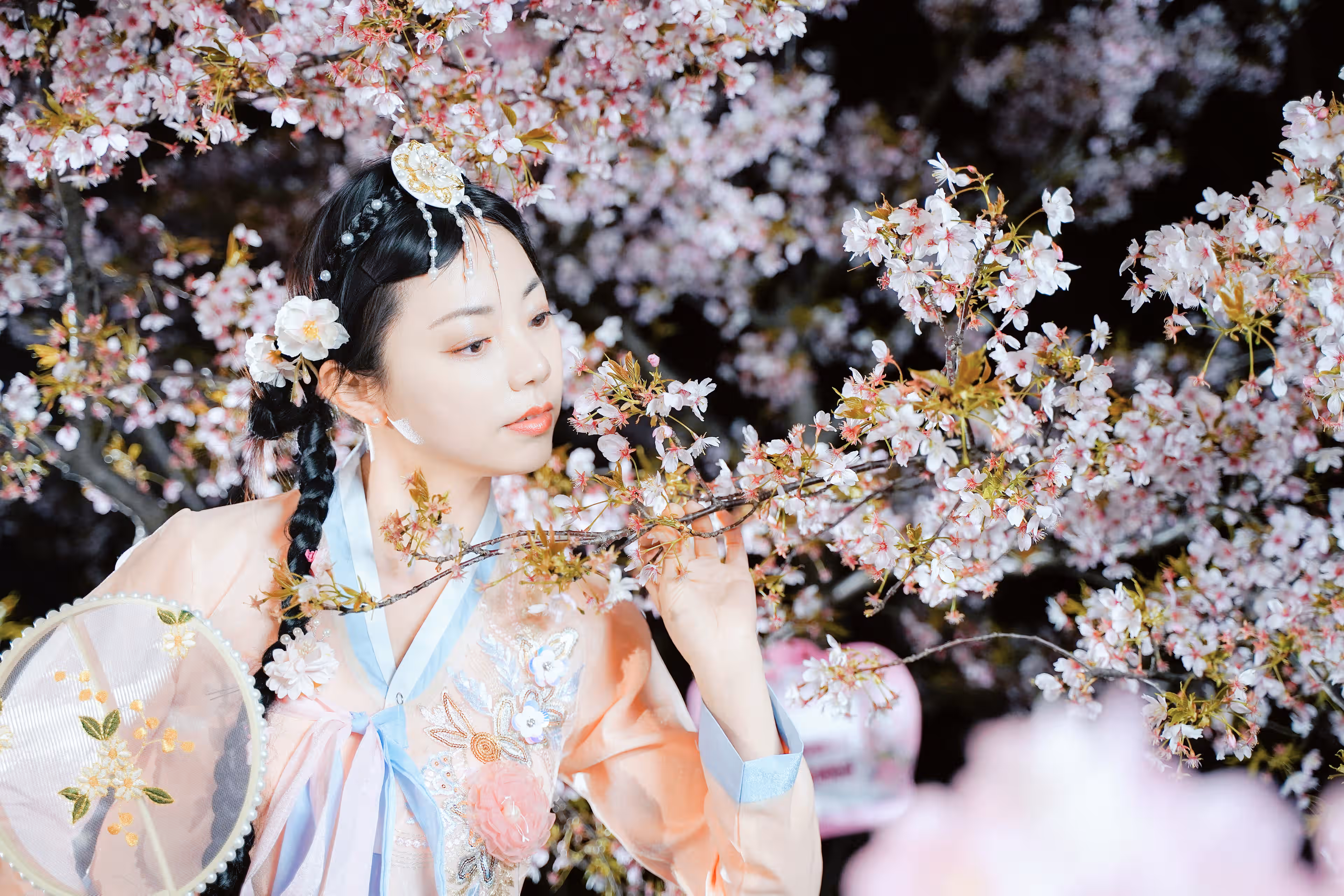 顾村夜樱抓拍,上海,2024年,纪实 · 街拍摄影作品
